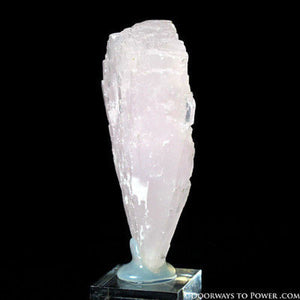 Pink Mangano Calcite 'Manifestation'  Flower Crystal Specimen