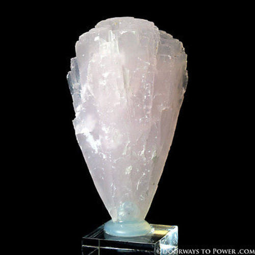 Pink Mangano Calcite 'Manifestation'  Flower Crystal Specimen