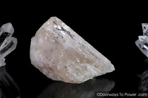Pink Danburite Crystal w/ Glyphs Synergy 12 Stone