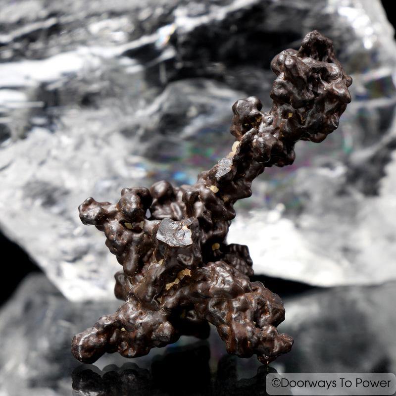 Prophecy Stone Specimen