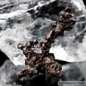 Prophecy Stone Specimen