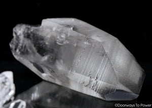 Black Phantom Lemurian Record Keeper Quartz DOW Crystal 