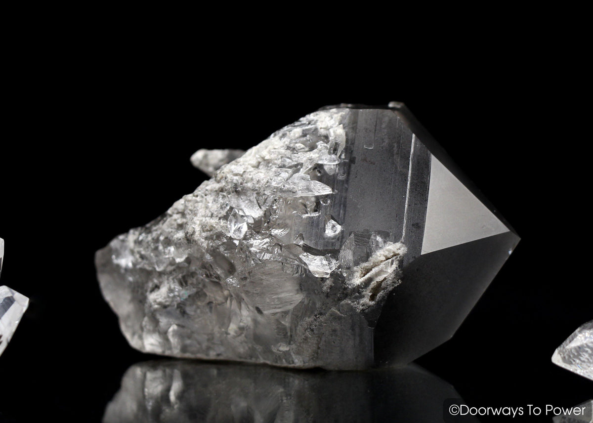 Smoky Black Phantom Lemurian Seed Quartz Inner Child Crystal 'The Protector'