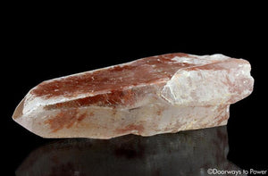 Scarlet Temple Rosetta Stone Cassiopeia Starbary Lightning Struck Lemurian Crystal