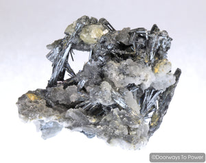 Stibnite & Calcite Specimen 'ODYSSEY'  Collectors Quality