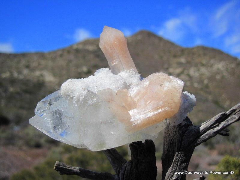 Apohyllite + Stilbite Specimen