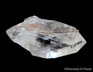 Lemurian Light Quartz Record Keeper DT Crystal 