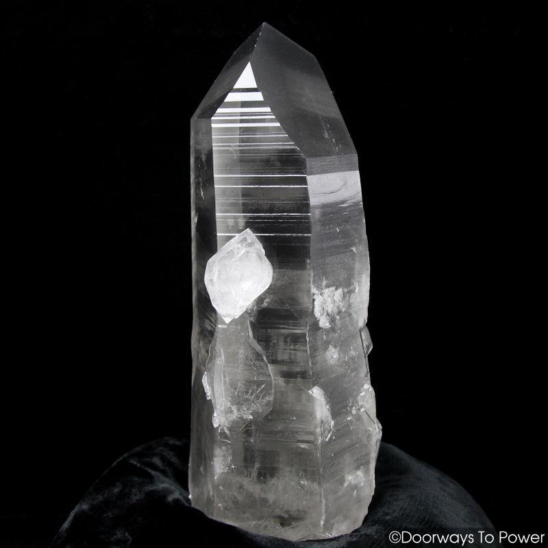 Black Lemurian Seed Phantom Quartz Inner Child Dolphin Crystal 
