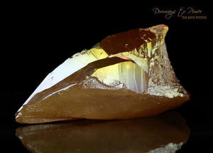 Golden Aura Lemurian Quartz Twin Record Keeper Crystal