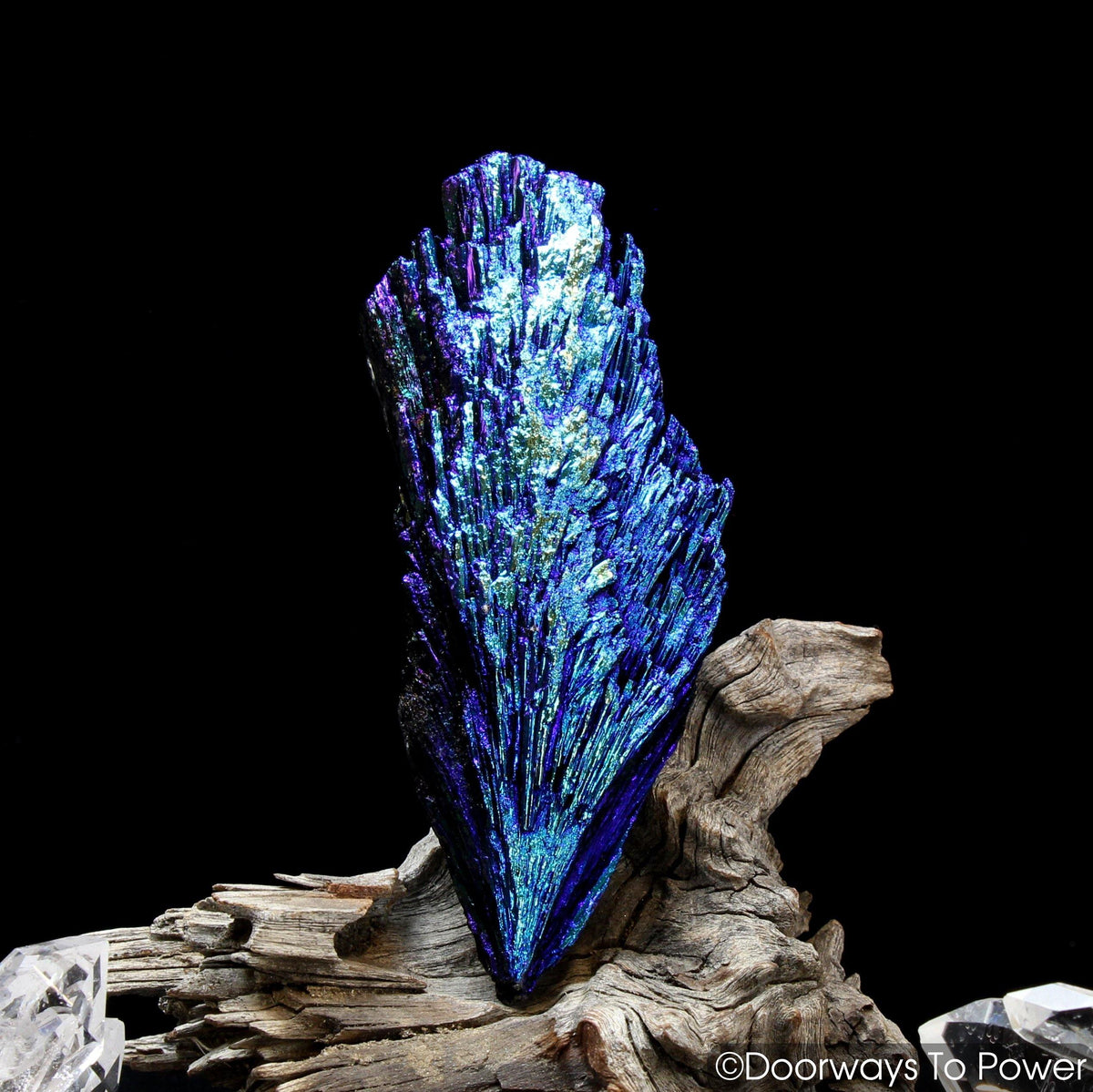 Black Kyanite Aura Angel Wing Crystal