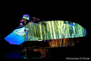 Titanium Aura Quartz DT Master Record Keeper Crystal 'Energetic Perfection'
