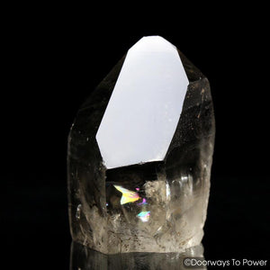 Golden Lemurian Seed Starbrary Grounding Crystal & Record Keeper