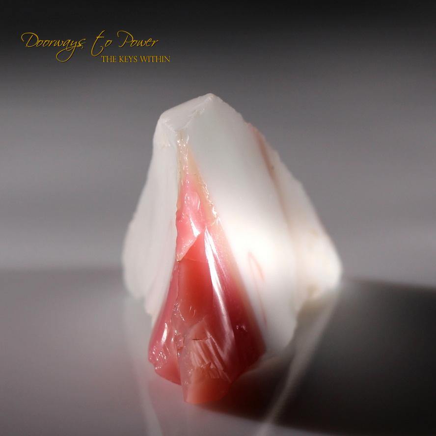 HGW Pink & White Bi Color Andara Crystal