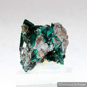 Dioptase Mineral Specimen Prosperity Crystal 'Collectors Quality'