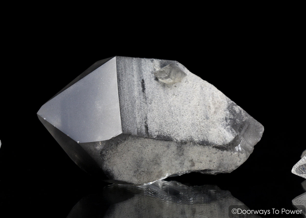 Smoky Black Phantom Lemurian Seed Quartz Inner Child Crystal 'The Protector'