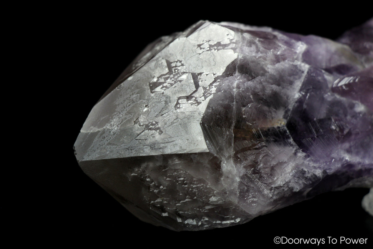 Trigonic Record Keeper