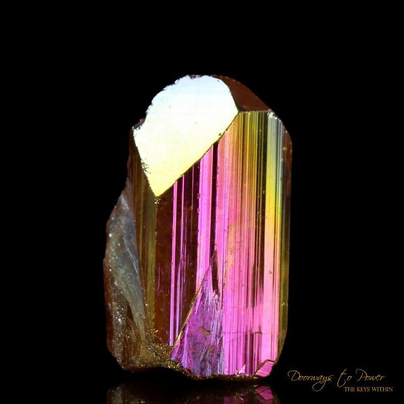 Danburite Golden Rose Aura Starbrary Crystal