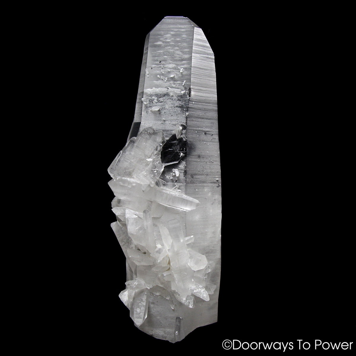 Lemurian Star Seed Quartz Crystal Record Keeper 
