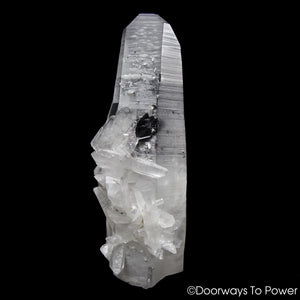 Lemurian Star Seed Quartz Crystal Record Keeper 