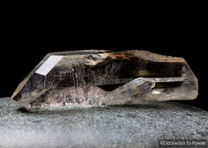 Brookite in Natural Quartz Record Keepers Dolphin Crystal Rare Synergy 12 Stone