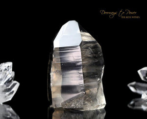 Golden Lemurian