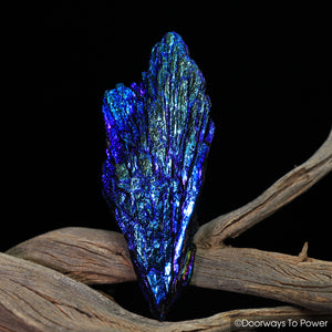 Black Kyanite Aura Angel Wing Crystal
