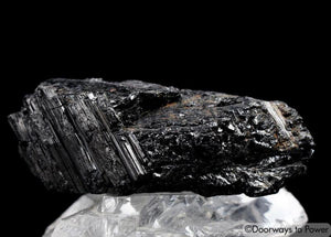 Black Tourmaline Crystal 