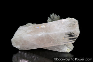 Danburite Twin Record Keeper Crystal | Covered in Druzy Crystals