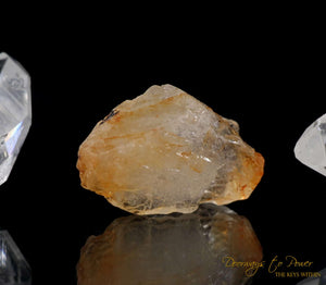 Phenacite Synergy 12 Stone