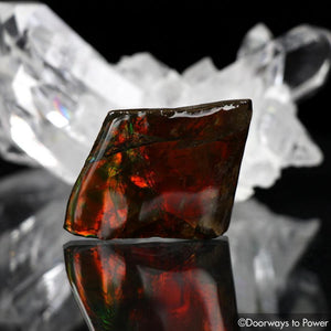 Ammolite Cabochon Gem Crystal
