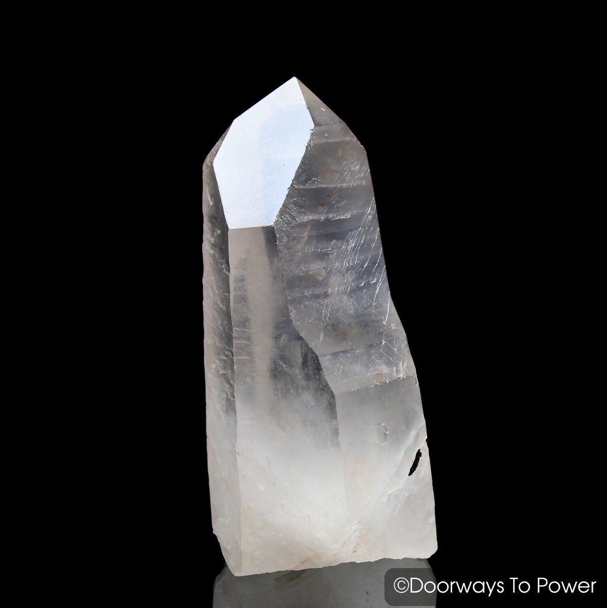 Lemurian Seed Quartz Record Keeper Crystal 