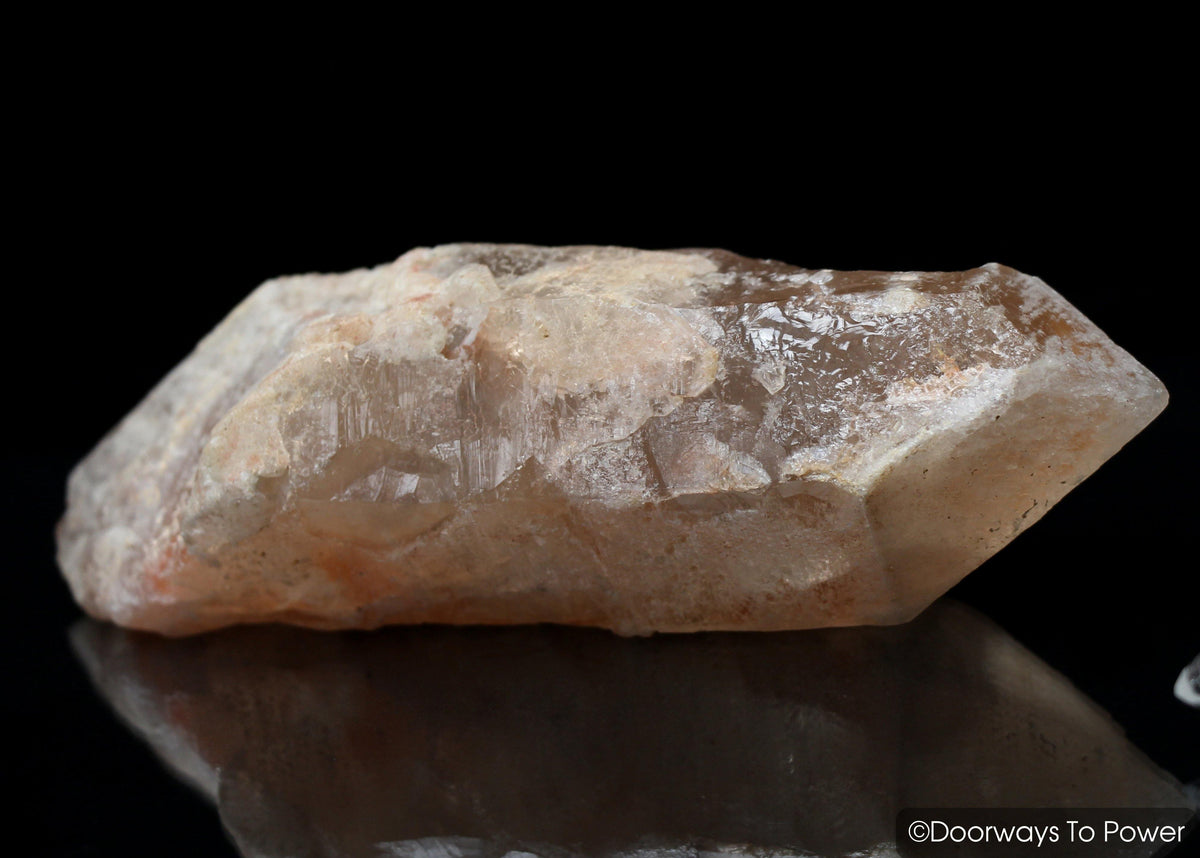 Dreamsicle Lemurian Quartz Crystal Record Keeper 