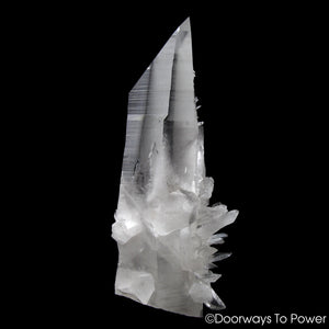 Lemurian Star Seed Quartz Crystal Record Keeper 