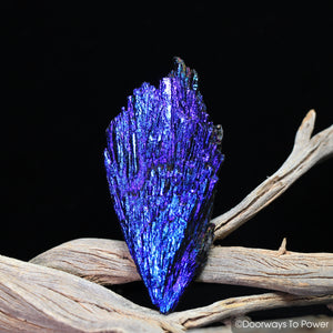 Magical Aqua Aura Black Kyanite Angel Wing Crystal
