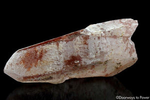 Scarlet Temple Rosetta Stone Cassiopeia Starbary Lightning Struck Lemurian Crystal