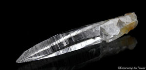  Colombian Lemurian Light Quartz Crystal Record Keeper Laser Wand