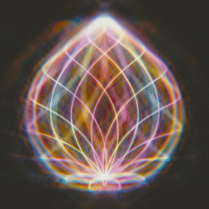 Rose Quartz Healing Crystal Point 'Serenity' Blessed & Energized