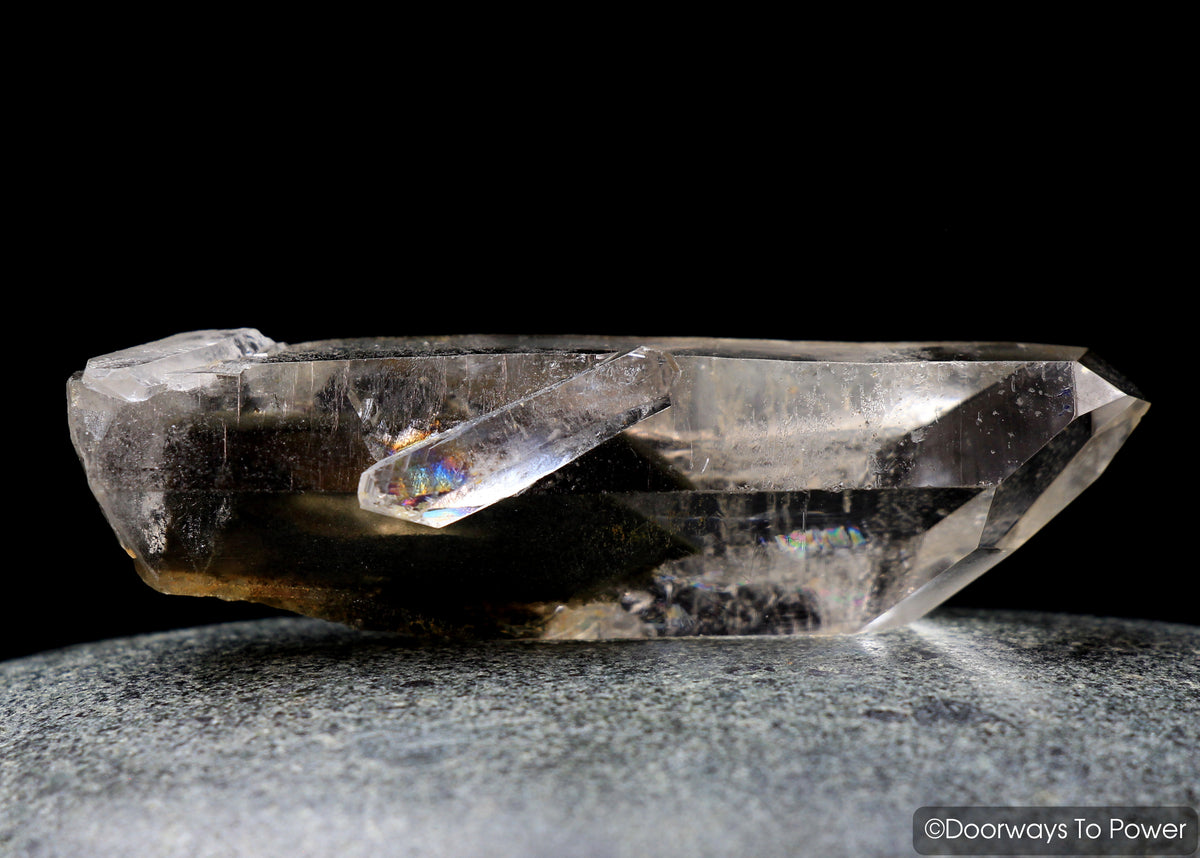 Brookite in Natural Quartz Record Keepers Dolphin Crystal Rare Synergy 12 Stone