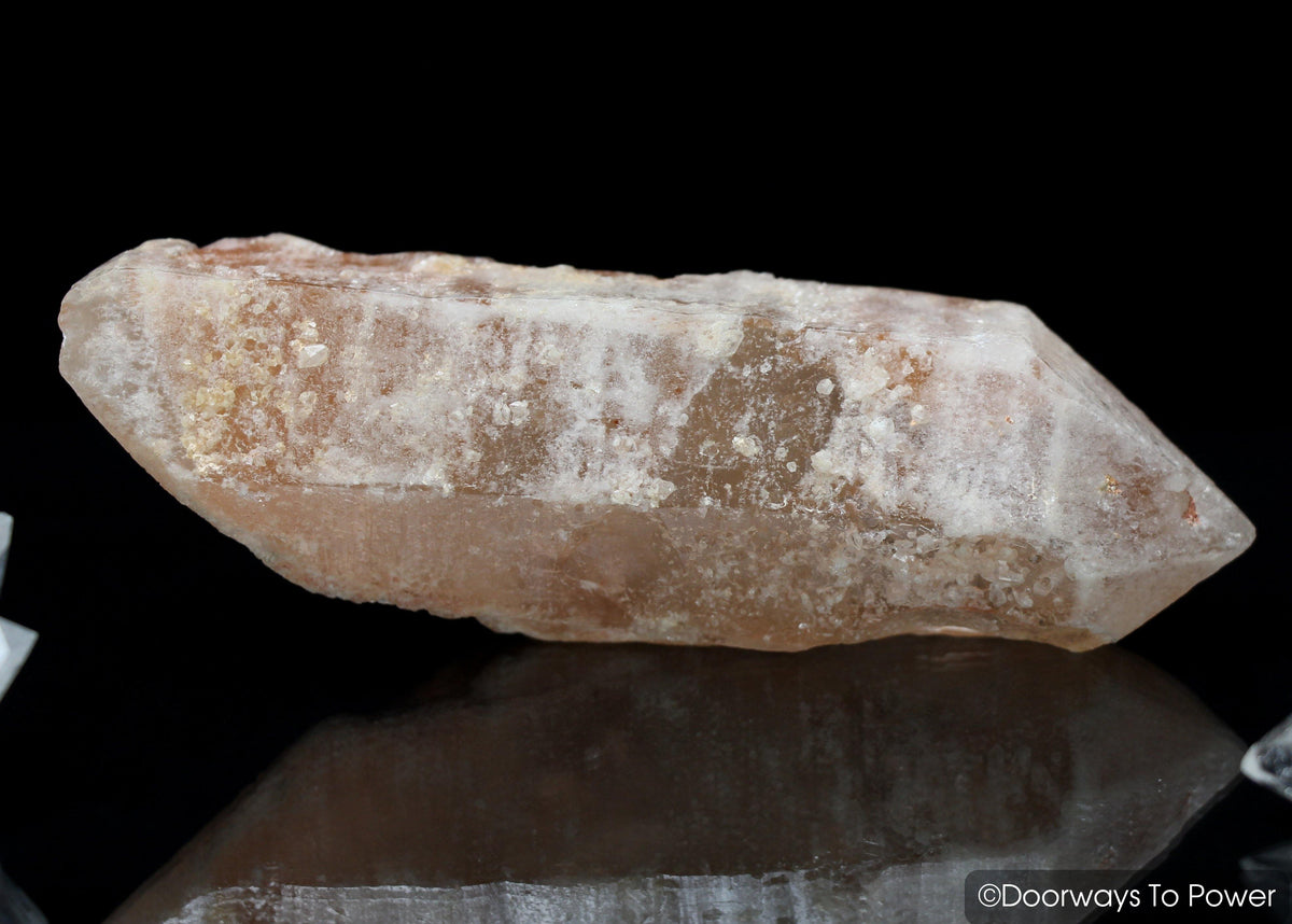 Tangerine Dreamsicle Lemurian Quartz Crystal Record Keeper 