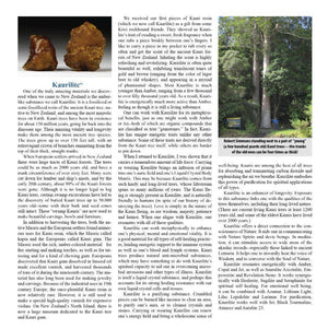 Kaurilite Meanings Story and Properties