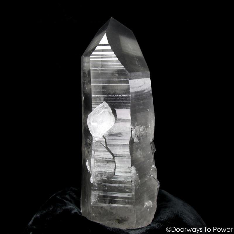 Black Lemurian Seed Phantom Quartz Record Keeper Crystal 
