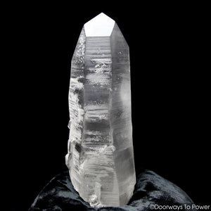 Black Lemurian Seed Phantom Quartz Record Keeper Crystal 