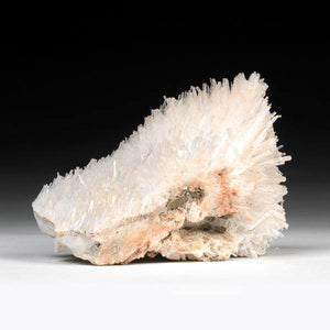 Natrolite Synergy 12 Crystal Cluster Russia 
