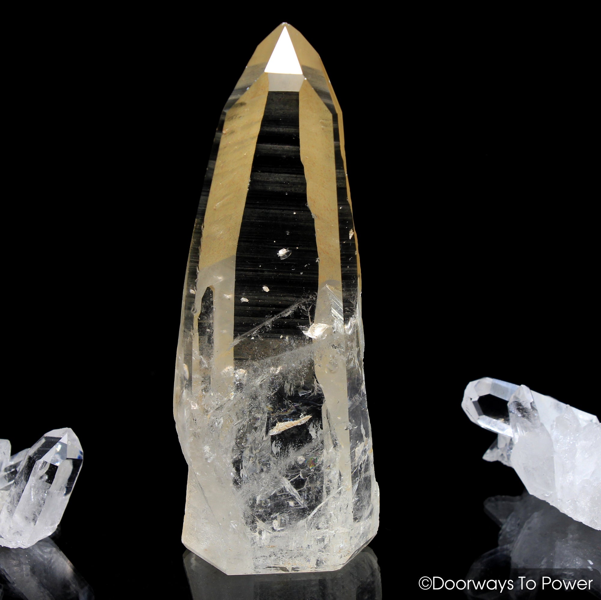 Golden Healer Lemurian Seed Pleiadian Starbrary Record Keeper Dolphin Crystal