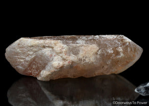 Dreamsicle Lemurian Quartz Crystal 