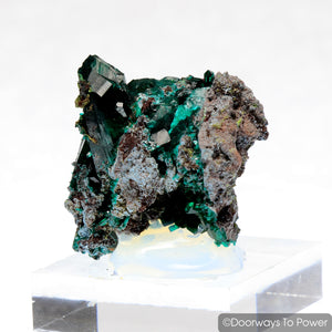 Dioptase Mineral Specimen Prosperity Crystal 'Collectors Quality'