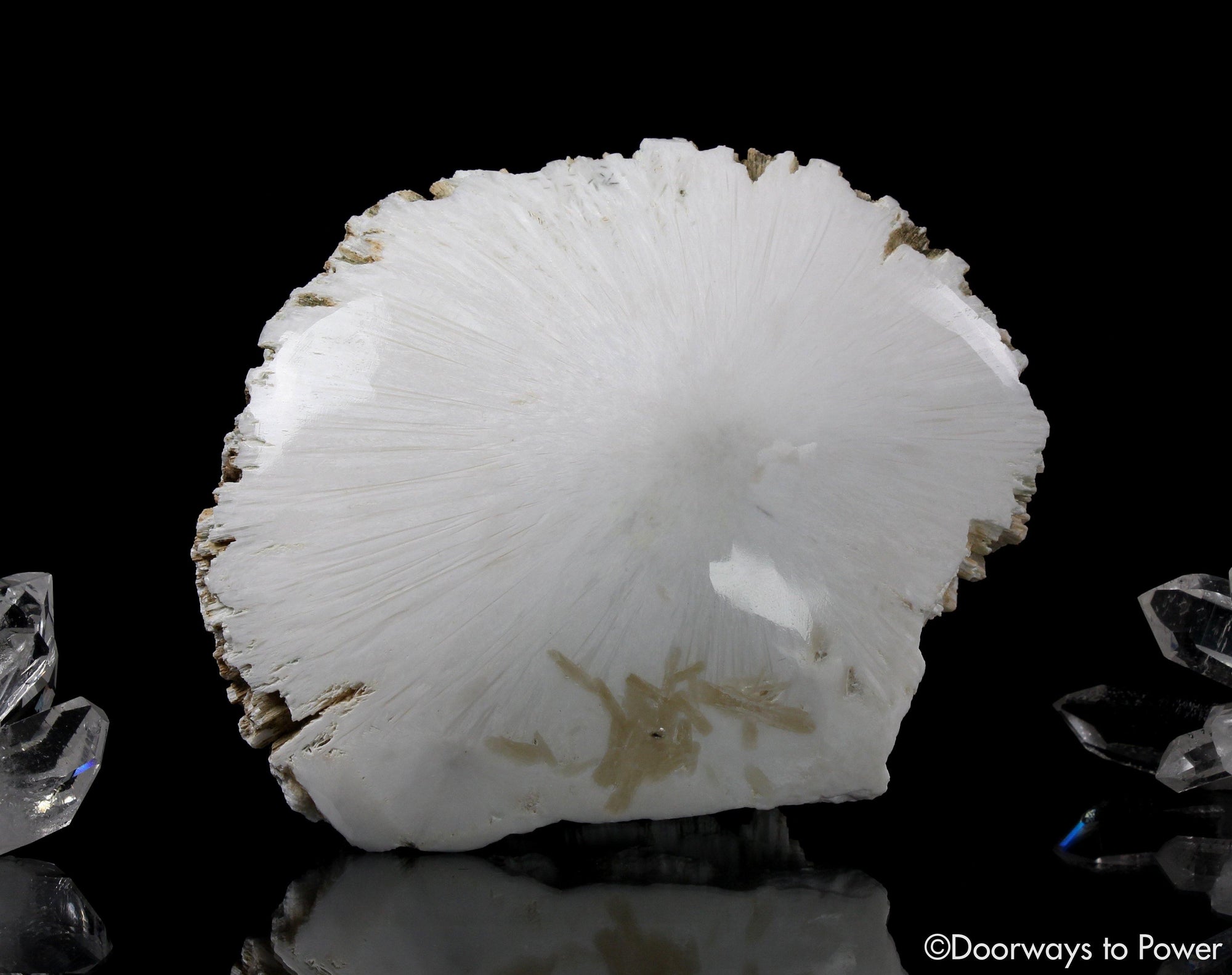 Scolecite Synergy 12 Stone