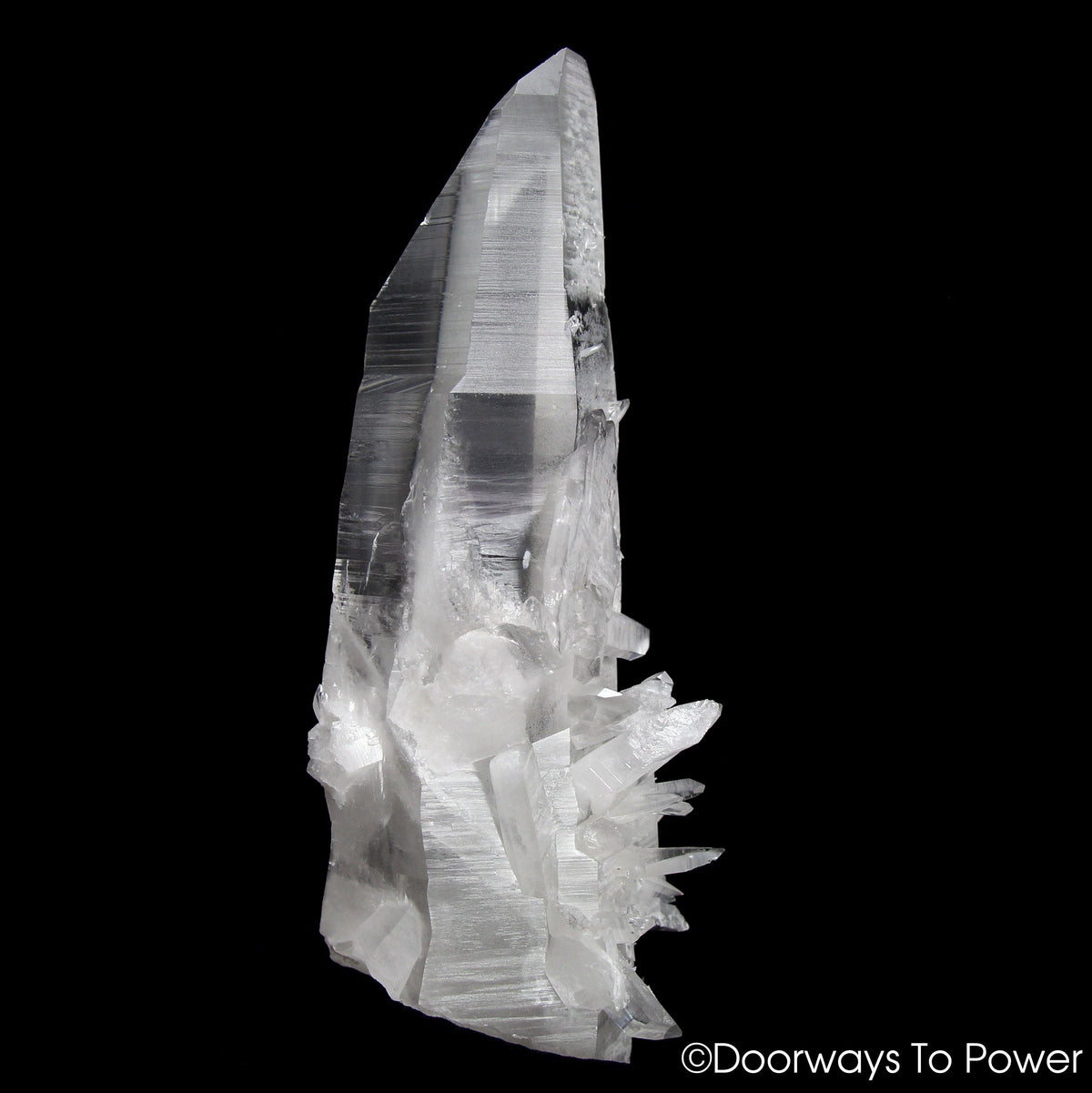 Lemurian Star Seed Quartz Crystal Record Keeper 