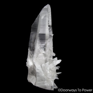 Lemurian Star Seed Quartz Crystal Record Keeper 