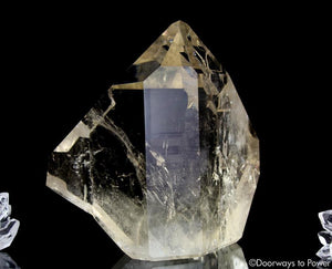 Citrine Quartz Lightbrary Crystal Abundance Stone